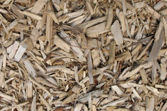 biomass boilers Annaside